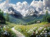 A field of Daisies