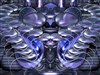 DeZign 461 2025