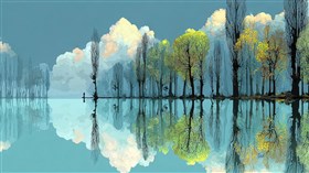 Trees and the Pond