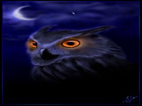 Owl-By Blleak
