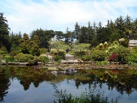 japanese garden 