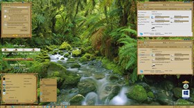 Jungle