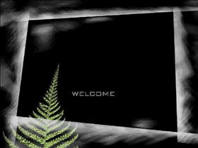 Green Fern Welcome