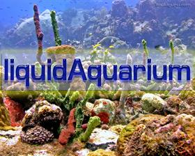 liquidAquarium