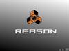 Reason