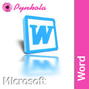 Microsoft Word