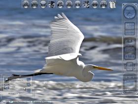 Great Egret