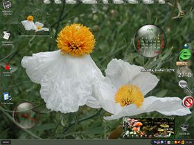 A Natural Desktop