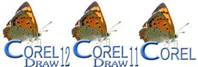 Corel Draw 11 & 12