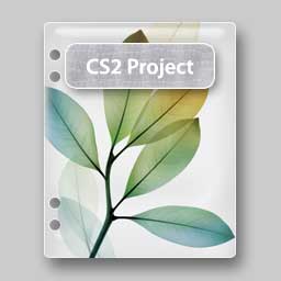 Plastic File: Creative Suite 2 Pro