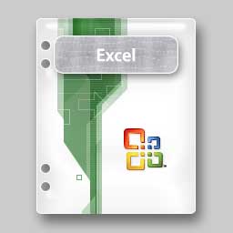 Microsoft Excel 2003 File