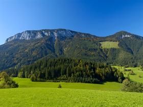 Austrian Bliss