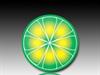 LimeWire Icon