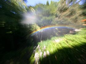 Zoom Rainbow 