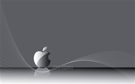 Mac OS X (1280x800)