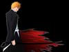 Bleach Ultimate Black v1