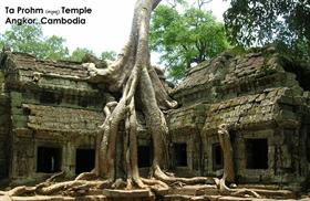 Ta Phrom Temple - Cambodia