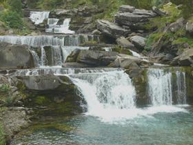 Cascade the Soasa with butterflys