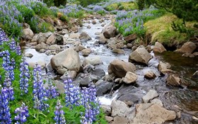 Scenic River