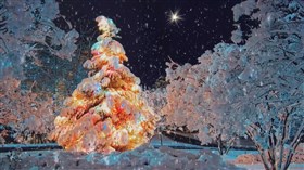 White_Christmas_Star