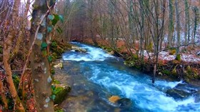 Nice_ Blue_Cold_Forest_River