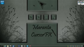 Maranta FX