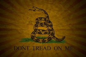 Gadsden Flag