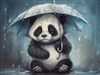 4K Baby Panda