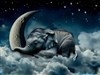 4K Baby Elephant Mooning