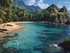 4K Palm Beach3