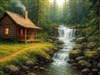 4K Forest Cabin
