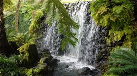 Madeira Waterfall