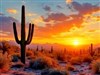 4K Desert Sunset