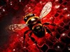 4K Bee Hive