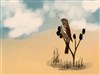 Song sparrow