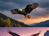 Sky Eagles