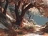 Mountain Walk