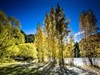 Autumn in New Zealand