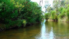 Stanwell Creek