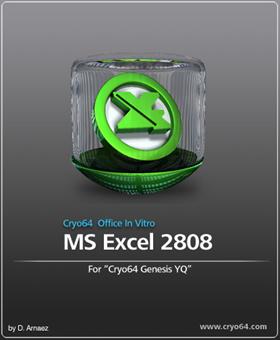 MS Excel 2808