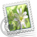 Flower Mail Icon