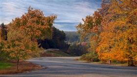 Autumn Roadside LV