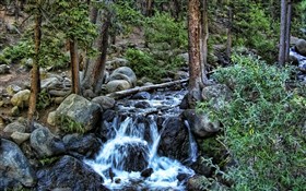 West Chicago Creek Colorado