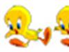 Tweety Bird (Follower)