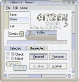 Citizen 3 Mosaic