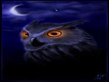 Owl-By Blleak