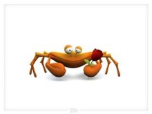 Crab-by nicobou