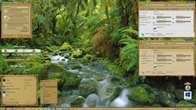 Jungle