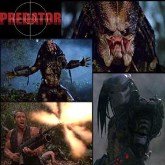 Predator