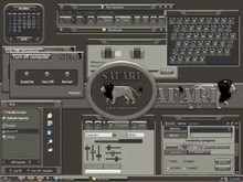 Safari